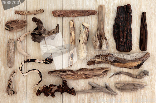 Image of Driftwood 