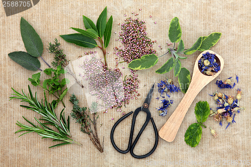 Image of Fresh Herbs