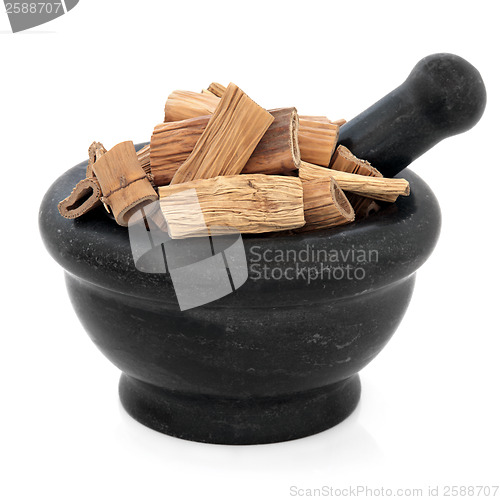 Image of Reed Root