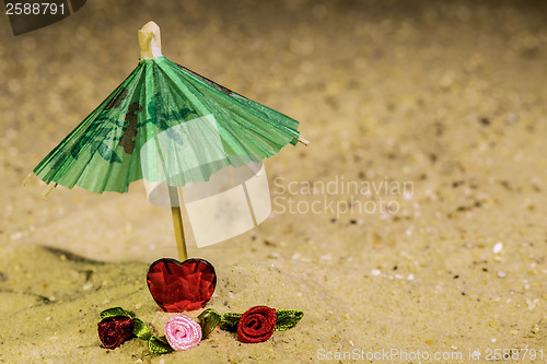 Image of Valentine on the beach