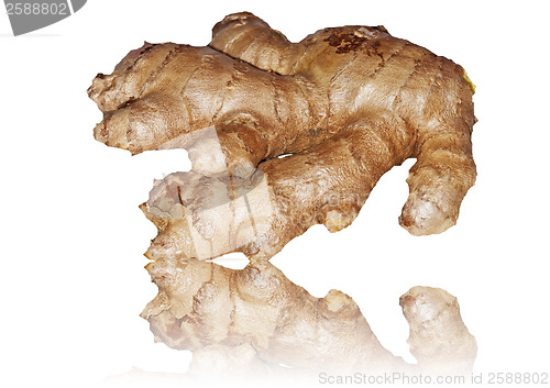 Image of ginger root