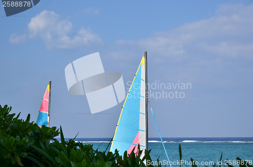 Image of Sails at tropical coast