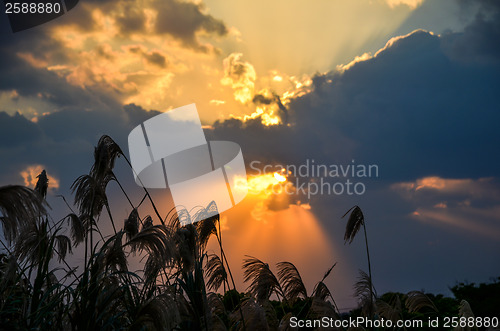 Image of Dramatic sky