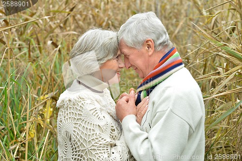 Image of Senior couple standing in autumn