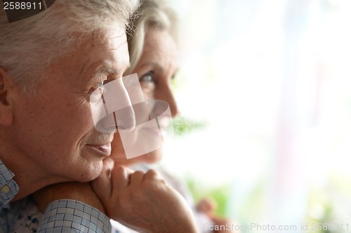 Image of Portrait of a happy senior couple.