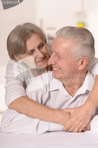 Image of Portrait of a happy senior couple.