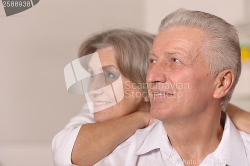 Image of Portrait of a happy senior couple