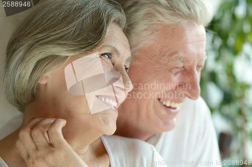 Image of Portrait of a happy senior couple