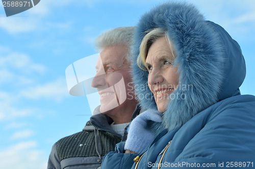 Image of Senior couple in winter