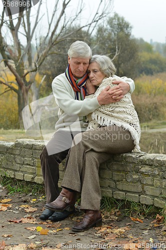 Image of Handsome elderly couple