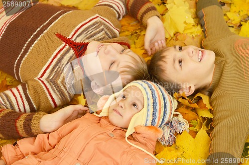 Image of Family of three lying on yellow leaves