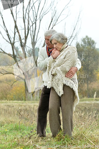 Image of Handsome elderly couple