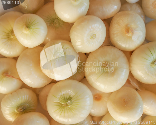 Image of Onions