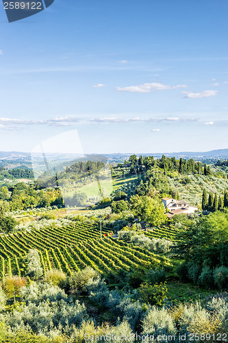 Image of Landscape Tuscany near San Gimignano