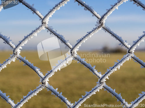 Image of fence with frost