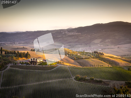 Image of Landscape near Pienza