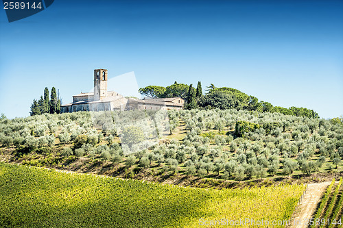 Image of Olive trees with old building