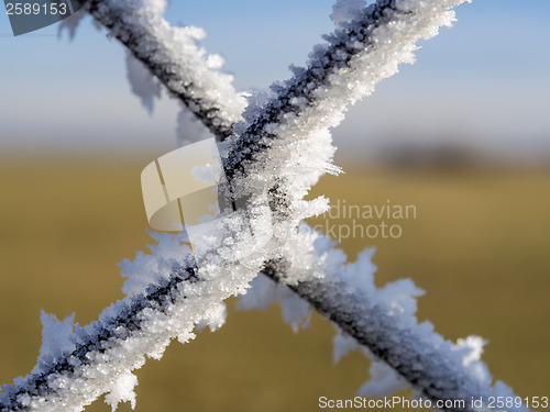 Image of fence with frost