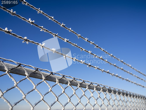 Image of fence with frost