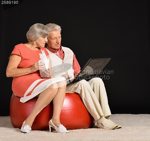 Image of Elderly couple using laptop