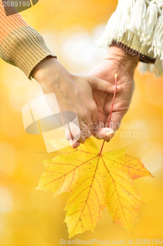 Image of Hands of people of different ages