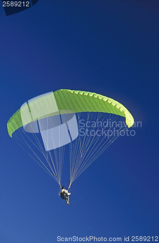 Image of Glider