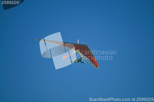 Image of Glider