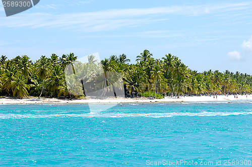 Image of Island with beautiful beach