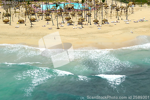 Image of Exotic beach with palms and parasols