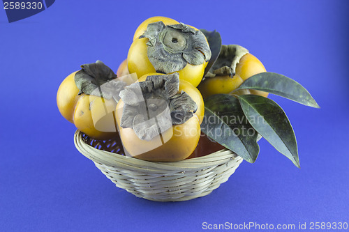 Image of persimmon fruit