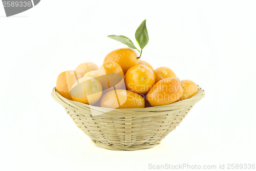 Image of Sweet Small Orange