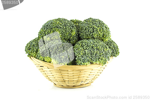 Image of Fresh broccoli