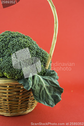 Image of Fresh broccoli