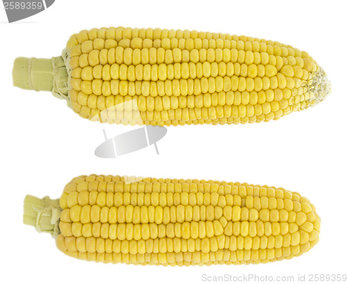 Image of Corn