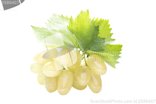 Image of Ripe grapes with leaf