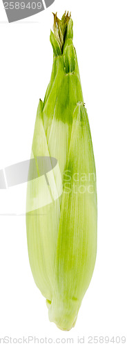 Image of Corn