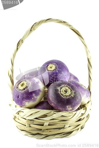 Image of purple headed turnips 