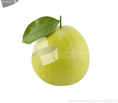 Image of Bergamot oranges