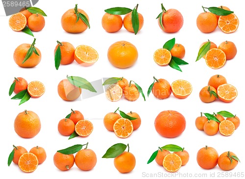 Image of Mandarins