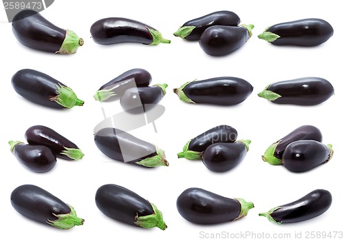 Image of Aubergine
