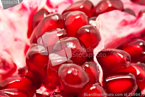 Image of Pomegranate