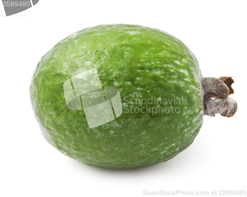 Image of Feijoa fruit