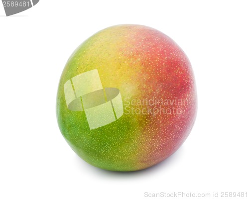 Image of Mango
