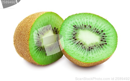 Image of Kiwi