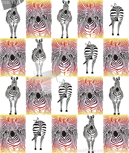 Image of Zebra pattern background for textiles