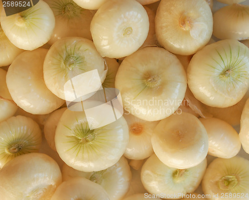 Image of Onions