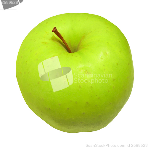 Image of Green apple fruit