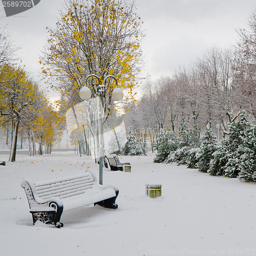 Image of Alley in the Park later in the autumn. Snow storm 