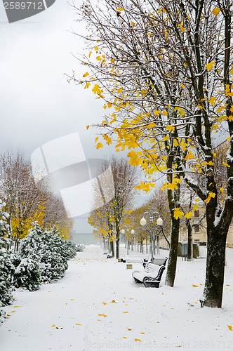 Image of Alley in the Park later in the autumn. Snow storm 