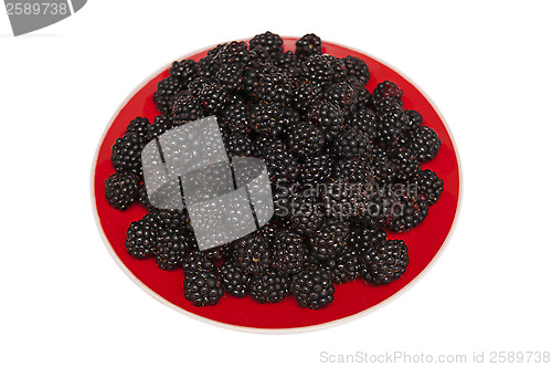 Image of Blackberries